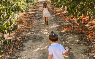 Top Five Fall Fun Activities for Families in the Phoenix Area
