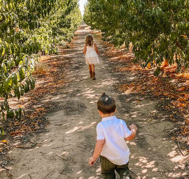 Top Five Fall Fun Activities for Families in the Phoenix Area