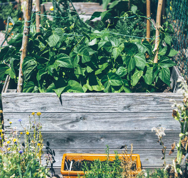 4 Earth Loving Practices to Incorporate in Your Home