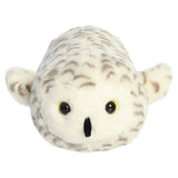 Aurora Octavia Snowy Owl: This plush has white and brown spotted fur, round black eyes, and small outspread wings.