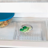 Close-up of a glass refrigerator shelf with a Bumkins Silicone Teething Charms: Green beside a covered bowl of food.