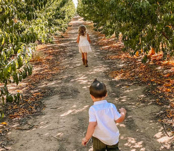 Top Five Fall Fun Activities for Families in the Phoenix Area