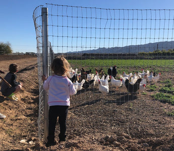 7 Outdoor Springtime Kids Activities in The Valley