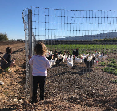 7 Outdoor Springtime Kids Activities in The Valley