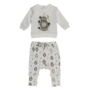 Organic Sweatshirt & Jogger Set, Owl Hoo?: gray sweatshirt with owl illustration, and gray joggers with owl & moon print.