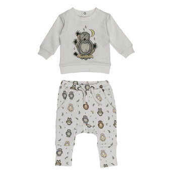 Organic Sweatshirt & Jogger Set, Owl Hoo?: gray sweatshirt with owl illustration, and gray joggers with owl & moon print.
