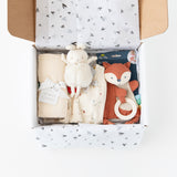 The Family Match- Neutral Delivery by Zoolikins: a sweet gift set with plush bunny, fox toy, baby clothes & blanket for new arrivals.