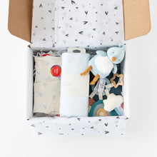 Load image into Gallery viewer, The Family Match- Boy Airplanes
