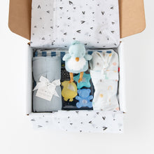 Load image into Gallery viewer, The Family Match- Boy Lullaby
