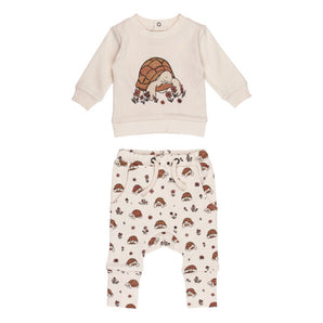 Organic Sweatshirt & Jogger Set, Tiny Tortoise: beige sweatshirt with tortoise illustration, and beige joggers with tortoise & flower print.