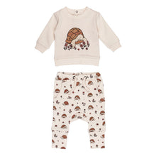 Load image into Gallery viewer, Organic Sweatshirt &amp; Jogger Set, Tiny Tortoise: beige sweatshirt with tortoise illustration, and beige joggers with tortoise &amp; flower print.
